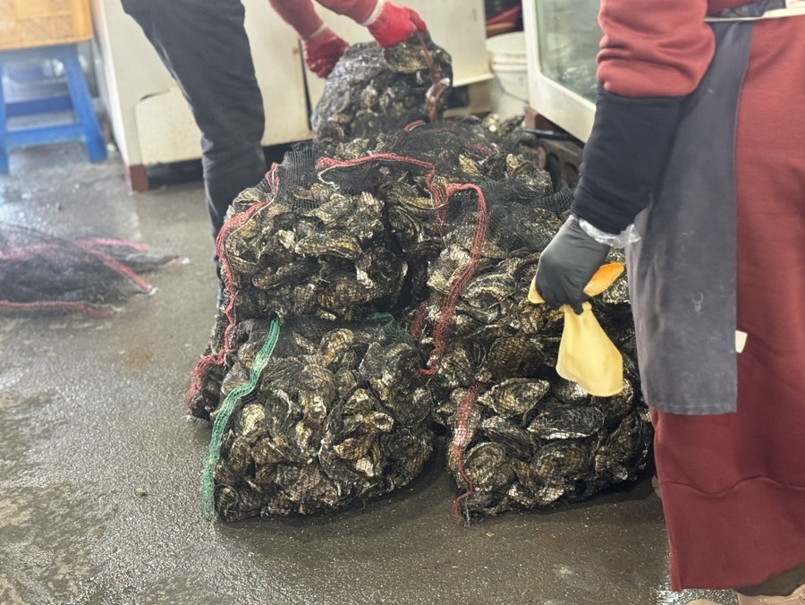 다람농원 사진 5