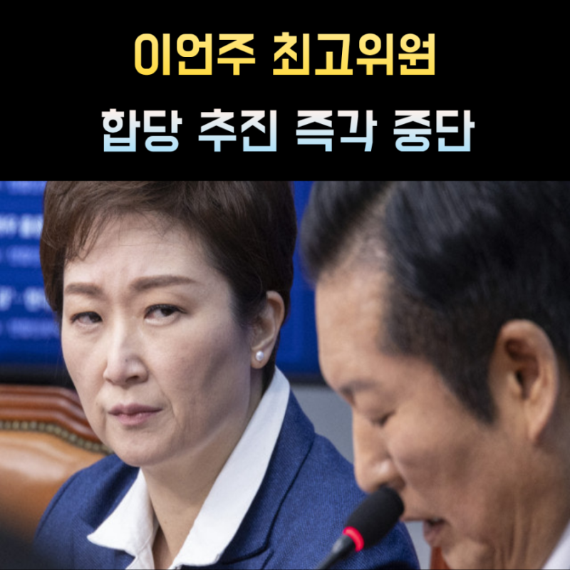 이언주 국회의원 프로필 더불어민주당 조국 혁신당 합당