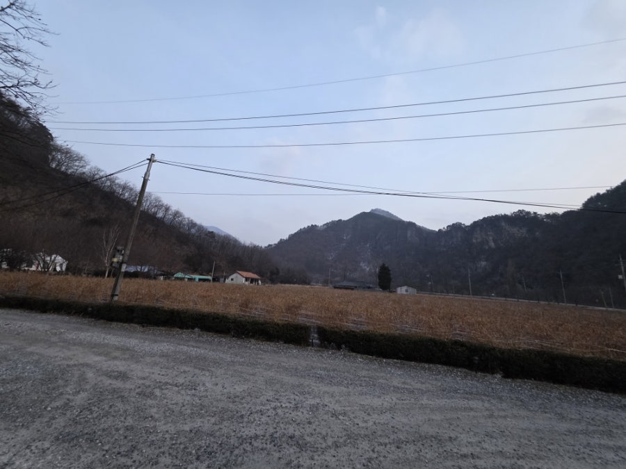 정선애펜션&캠핑장 사진 5