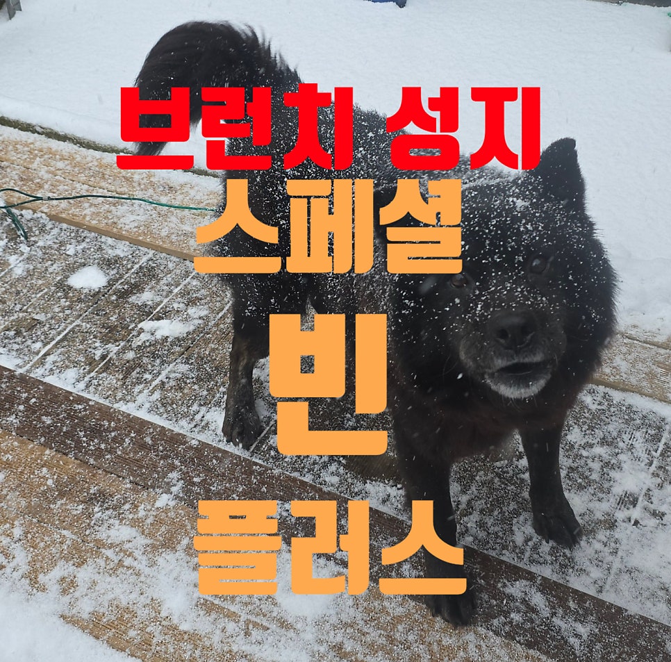스페셜빈플러스 사진 1