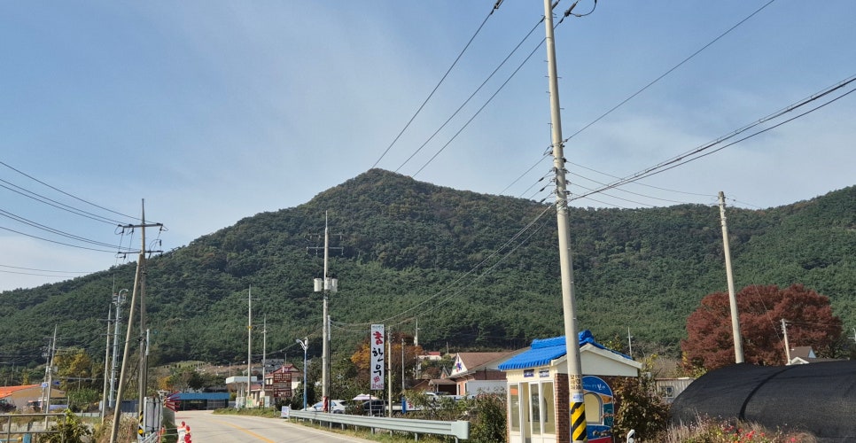 응봉산 사진 1