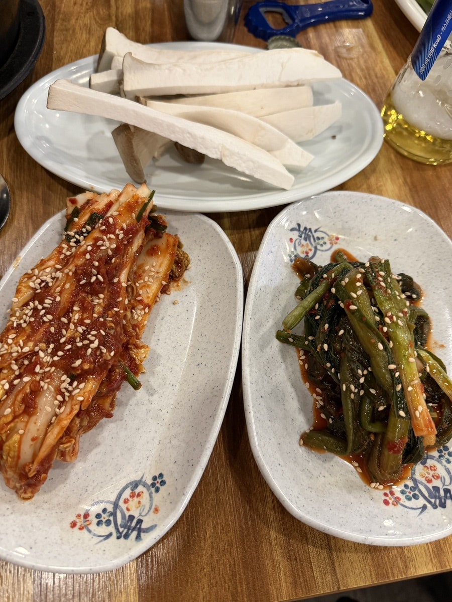 제주통도야지 사진 5