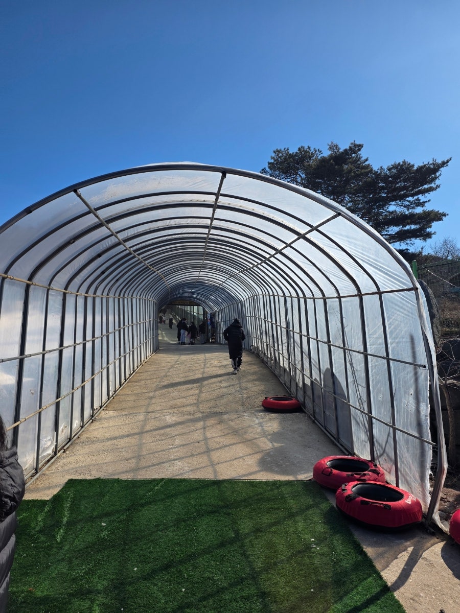 덕산온천 눈썰매장 사진 4