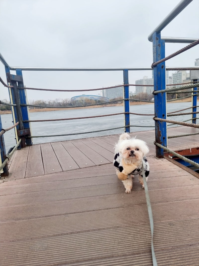 상동호수공원