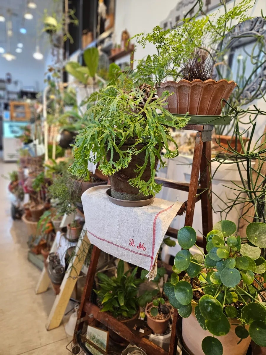 카페그린 사진 2