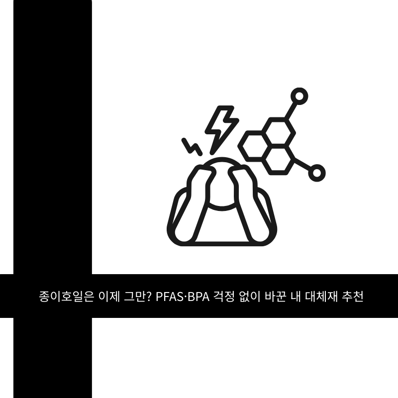 종이호일 환경호르몬 걱정되시죠? 현실적인 대체재 5가지
