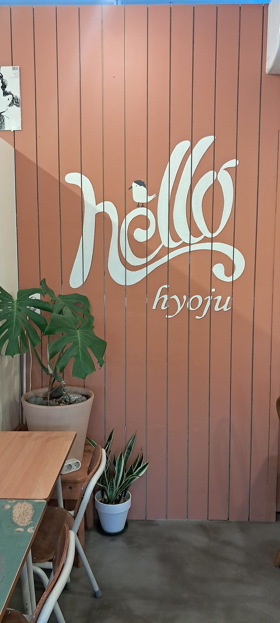 헬로효주 사진 2