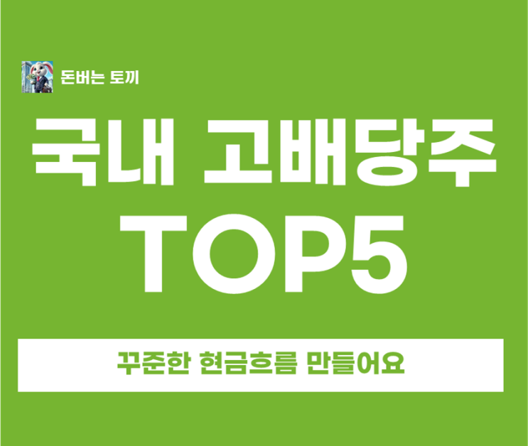  국내 고배당주 TOP 5 은행 이자보다 낫다?