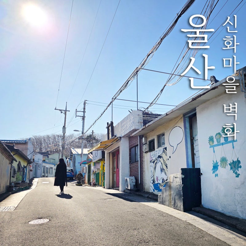 사진 3