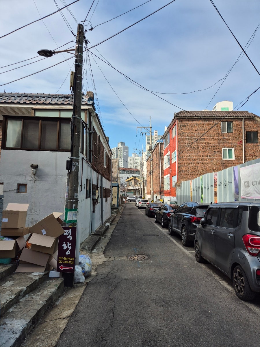 떡향 사진 2