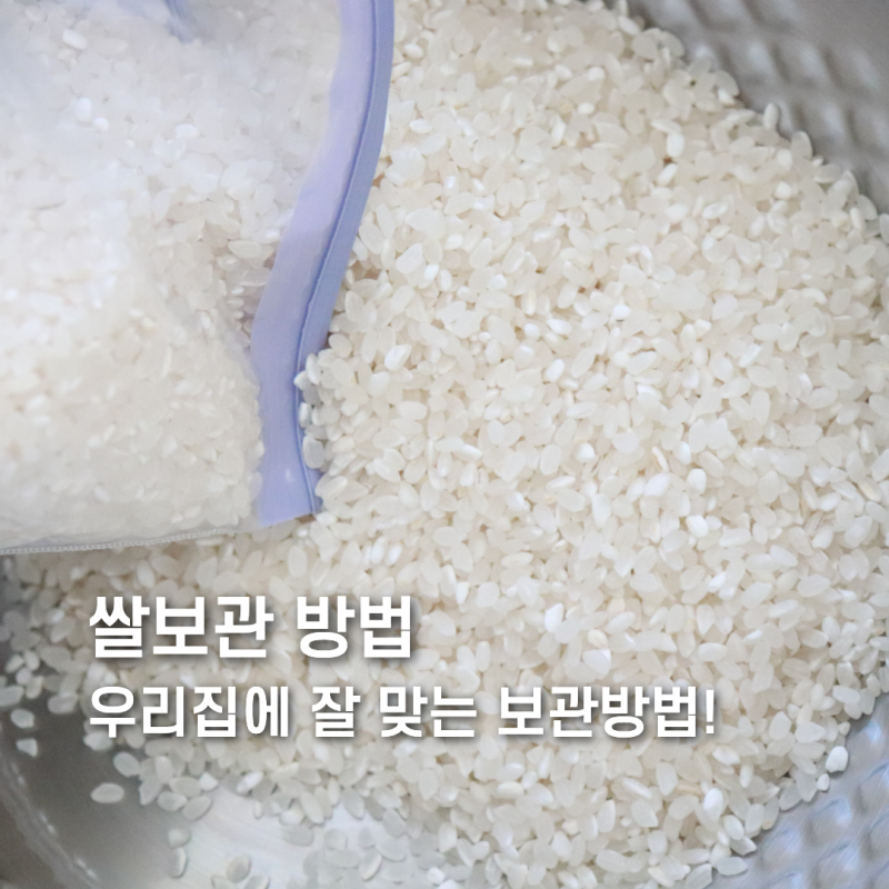 쌀보관 방법 3인 가족은 지퍼백 소분이 편했다