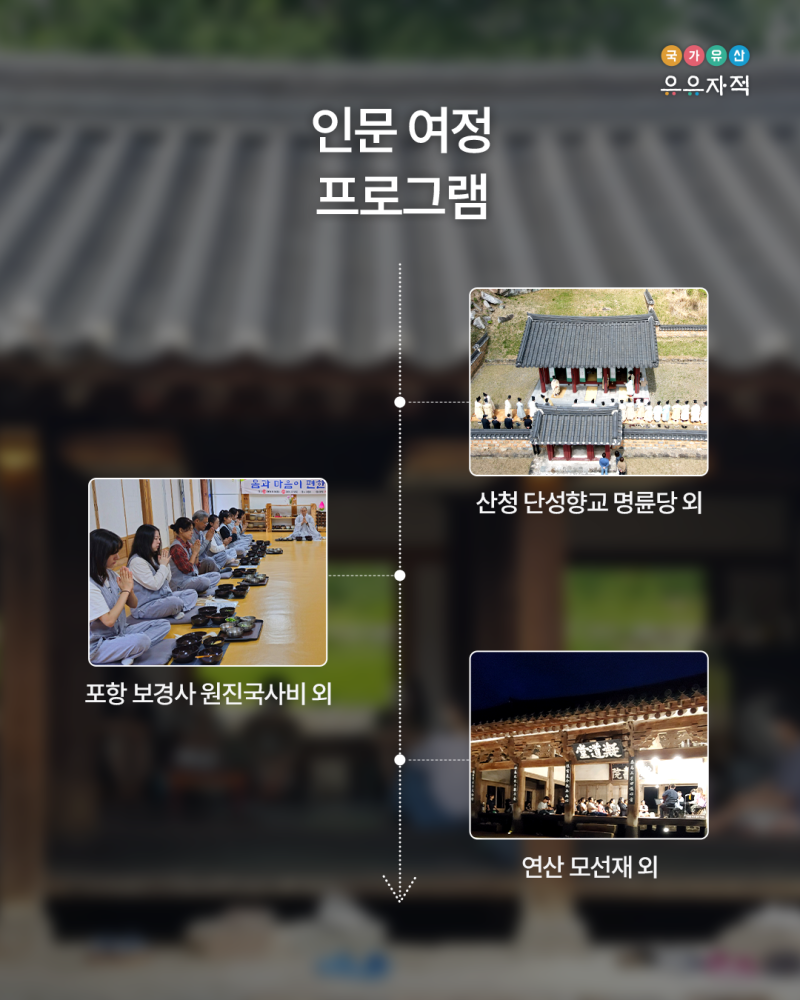 사진 5