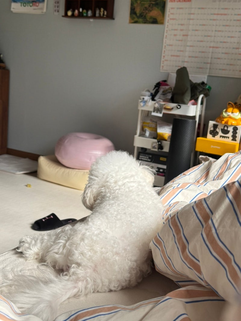 2월 첫째주 일상