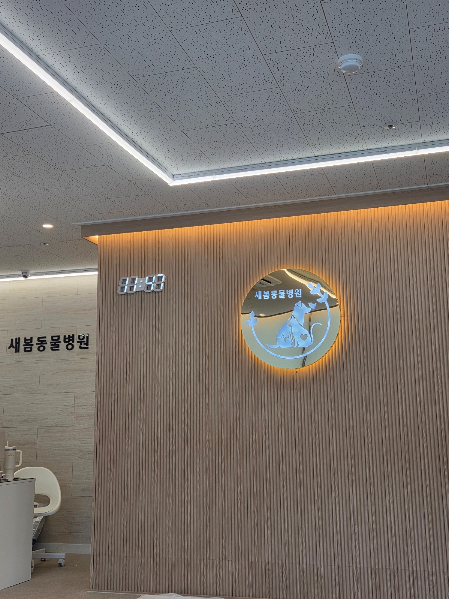 새봄동물병원 사진 3