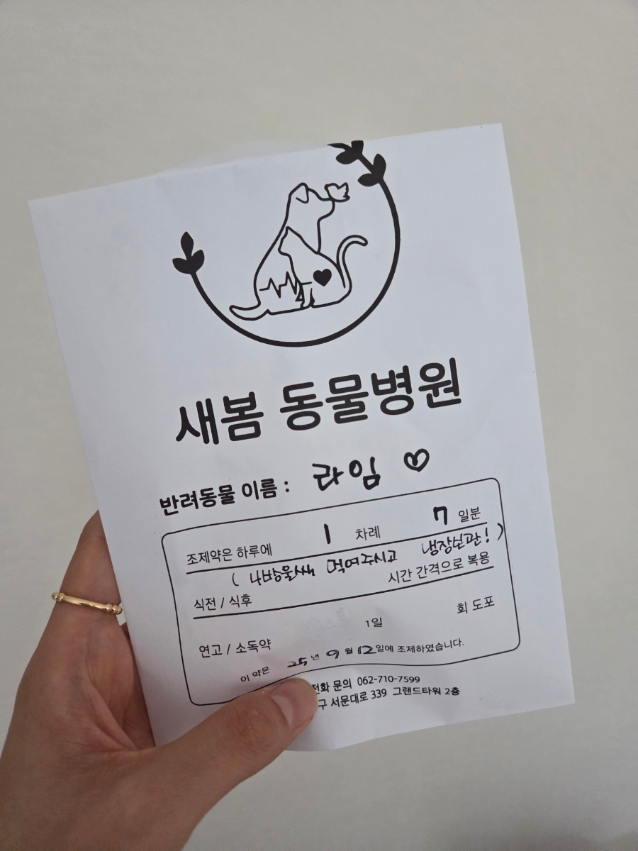 새봄동물병원 사진 4
