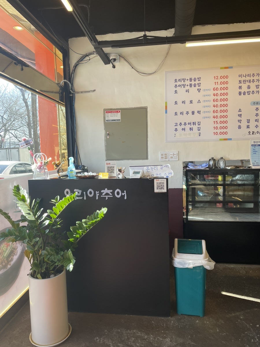 오리야추어 사진 6