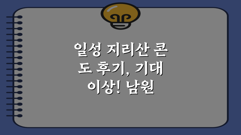 사진 5