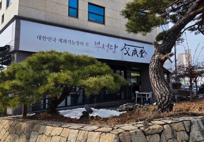 사진 10