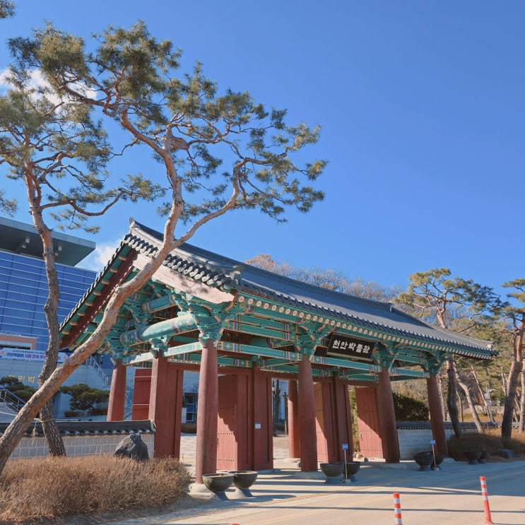  천안박물관 충남 천안 여행 실내 아이와 함께 가볼만한 곳 볼거리