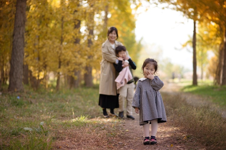  다산 은행나무숲｜가을의 기억을 걷다, 황금빛 은행나무 아래서 남긴 가족 스냅