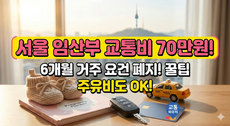  서울시 임산부 교통비 70만원, 이거 진작 알았으면 우리 집 쌍둥이들 더 편하게 모셨을 텐데 (6개월 거주요건 폐지 꿀팁)