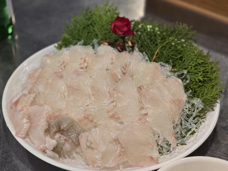 코알라포차 사진 6
