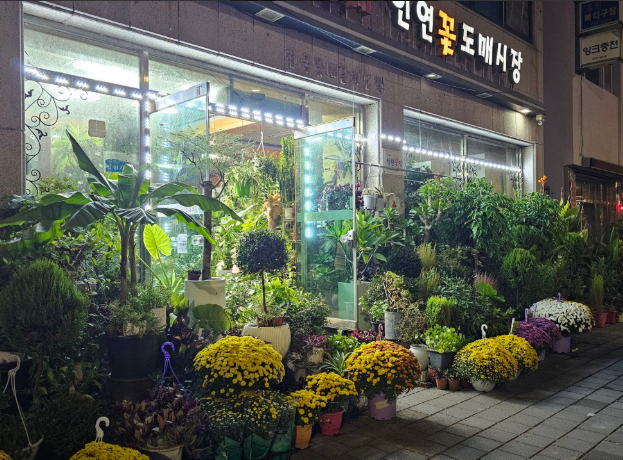 한아름화훼직판장 인연꽃도매시장 사진 2