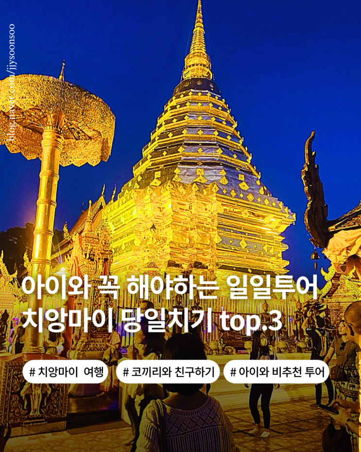  치앙마이 여행 한달살기 아이랑 가기 좋은 투어 top.3 비추천 투어까지