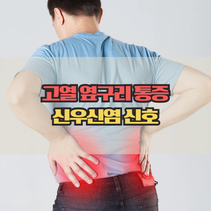  고열 옆구리 통증 있다면? 신우신염 증상 체크리스트
