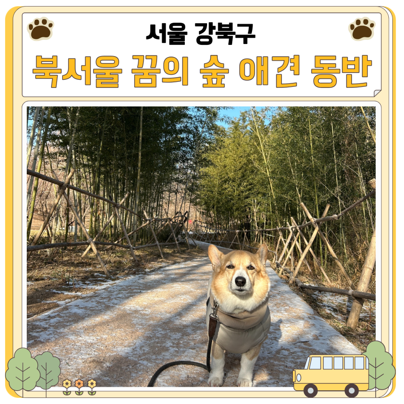 북서울 꿈의 숲 주차 요금 월영지 반려견 놀이터 가볼만한 곳