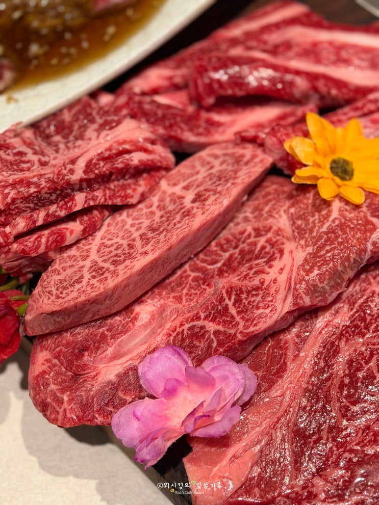  압구정로데오 단체회식 가능한 가성비 맛집 꽃돌이네