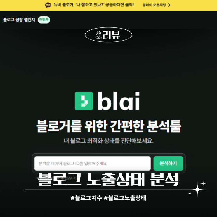  블로그 노출 상태 분석 블라이 사용 후기
