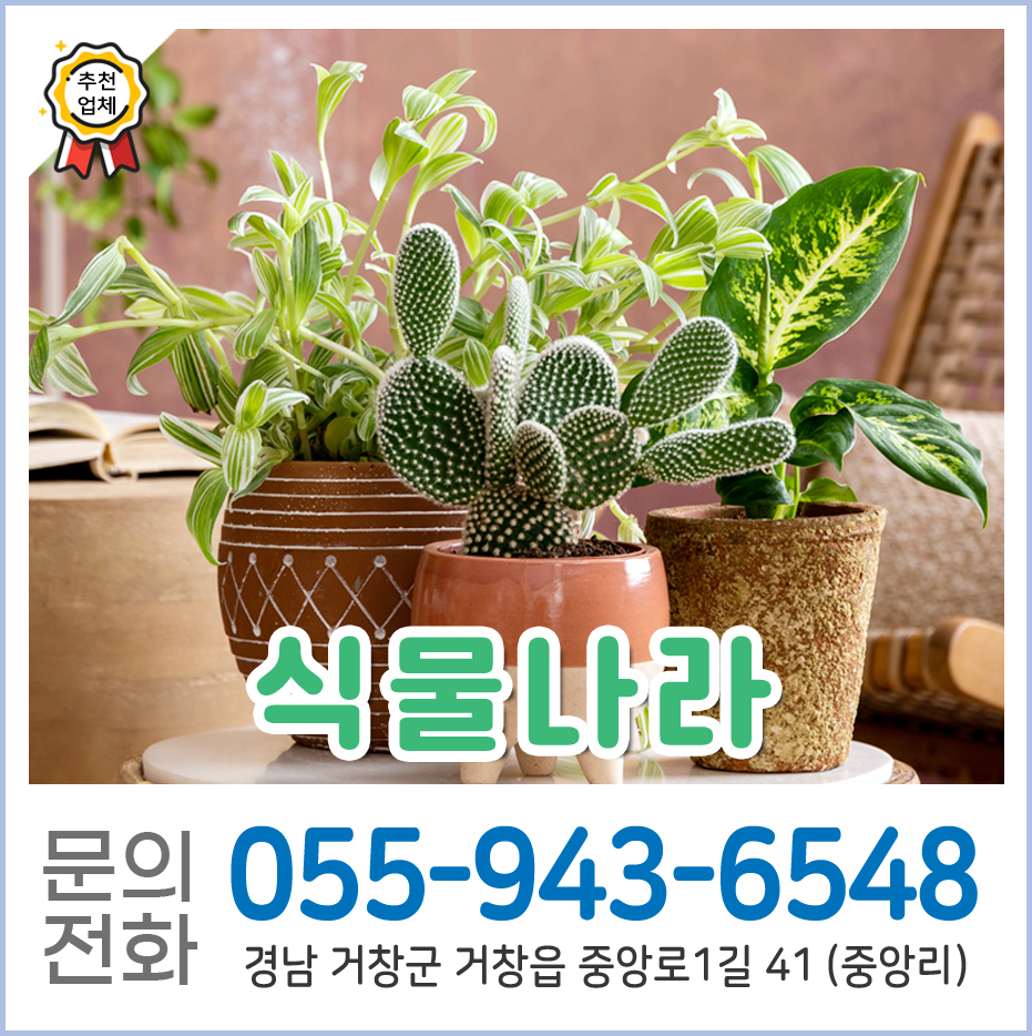 식물나라 사진 1