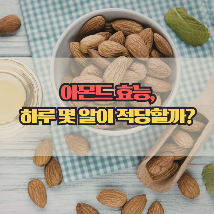  아몬드 효능 총정리, 하루 몇 알이 적당할까?