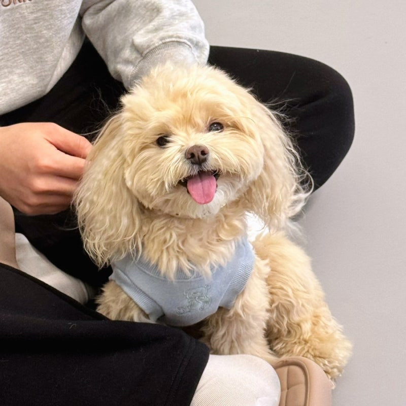 사진 6