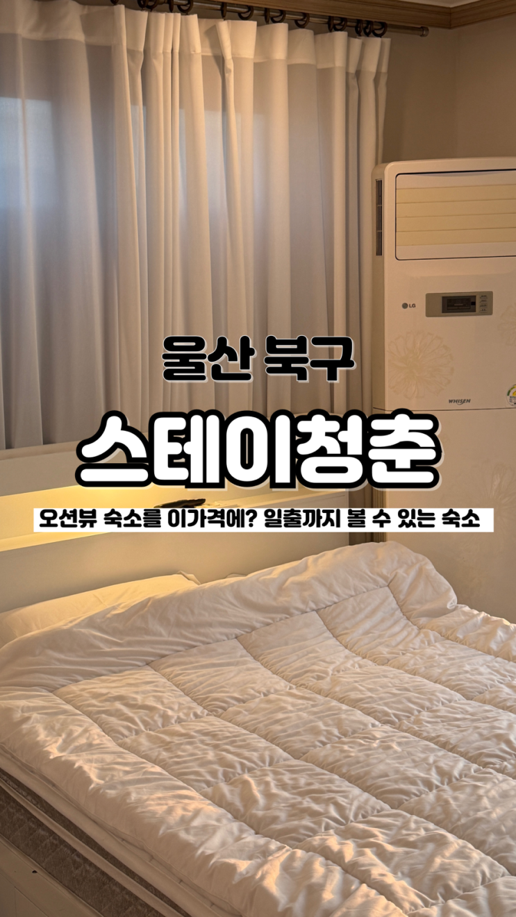  오션뷰는 물론 일출까지 볼 수 있는 가성비 좋은 울산펜션 스테이청춘