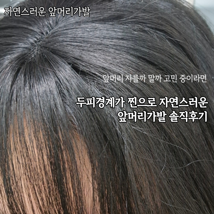  앞머리 내리고 싶은데 자르긴 싫을때 정수리커버라 티안나는 래미고 앞머리가발 찐후기