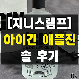 아이긴(IGIN) 애플진 솔직 후기 BTS 진 전통주 하이볼 레시피 추천