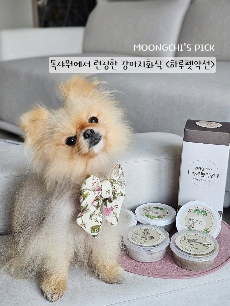 사진 2