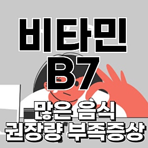 비타민 b7 많은 음식 권장량 부족 시