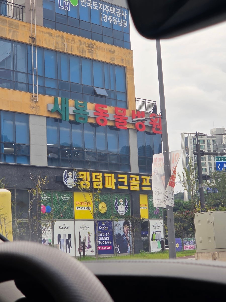 새봄동물병원 사진 1
