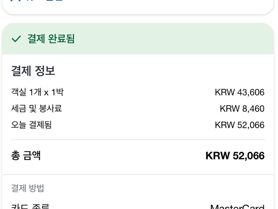 쟈스민 사진 3