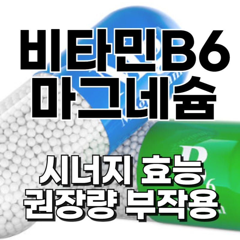 비타민b6 마그네슘 효능 복용시간 권장량