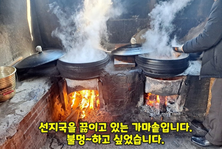  부산 강서구 대저할매국수. 5년만에 가봤습니다.