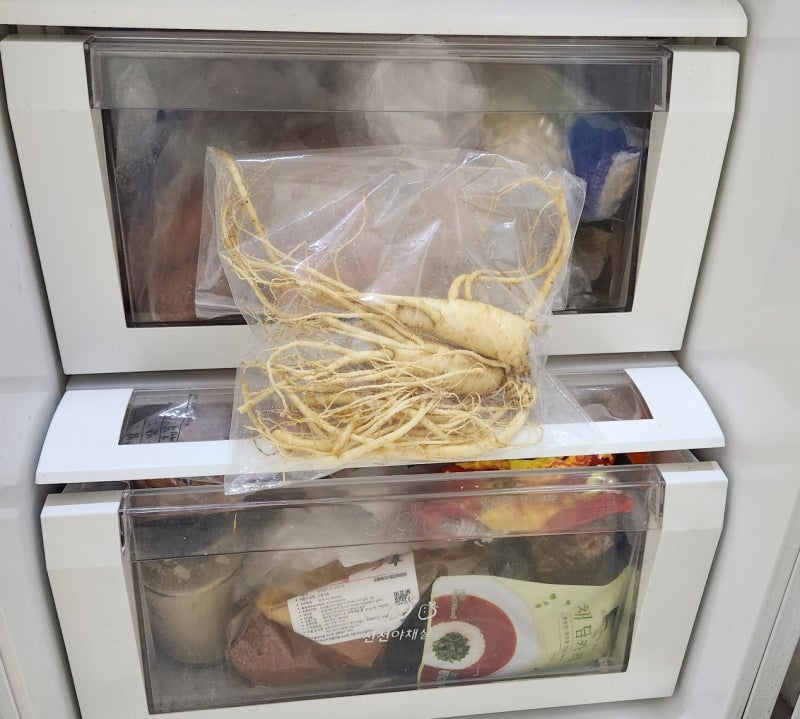 인삼보관 수삼보관 방법, 경동시장인삼 덕원인삼의 신선도 유지 비결