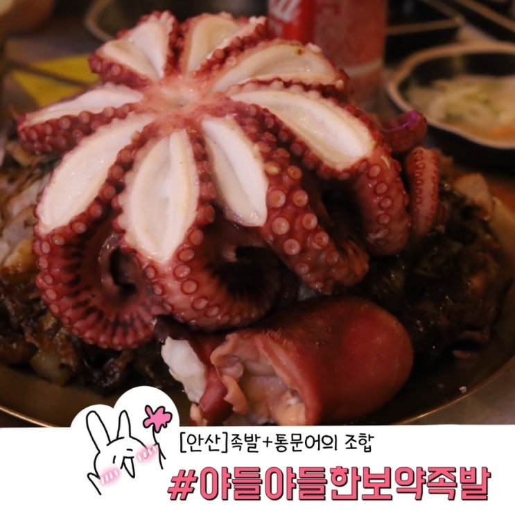  안산 고잔동 맛집 비주얼 끝판왕 족발과 통문어의 만남 야들야들한 보약 족발