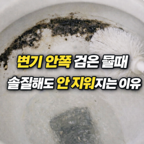 변기 안쪽 검은 물때, 솔질해도 안 없어지는 이유