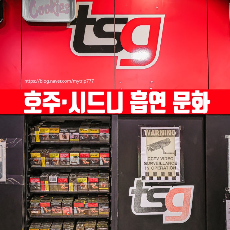  호주·시드니 흡연 문화 정리｜담배 가격·흡연 장소·벌금까지 체감 후기
