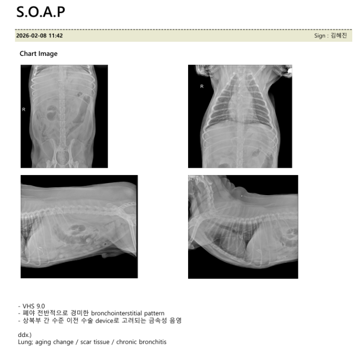  강아지 심장초음파 부정맥 심전도 흉부엑스레이 검사 26년