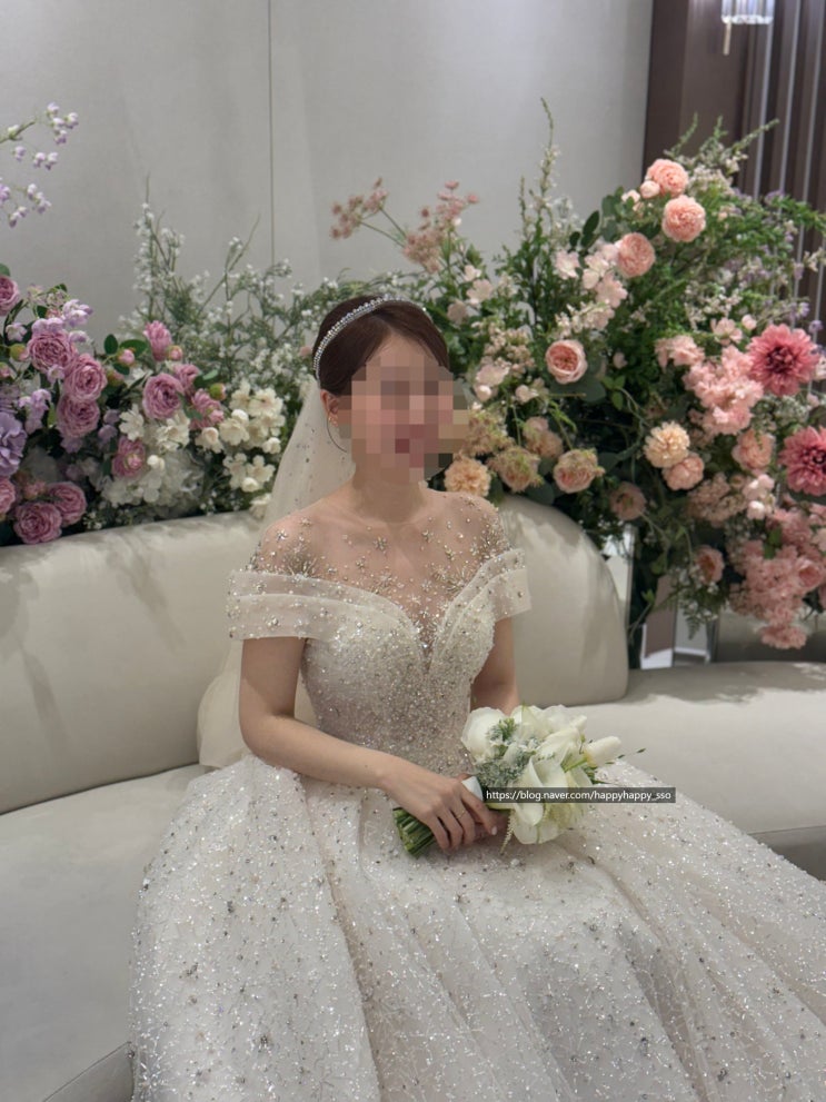  [웨딩시티 웨딩패키지 본식 드레스 - 브리앙뜨] 후기